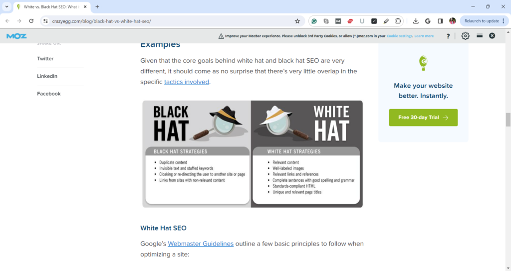 Infographic on black and white hat strategies